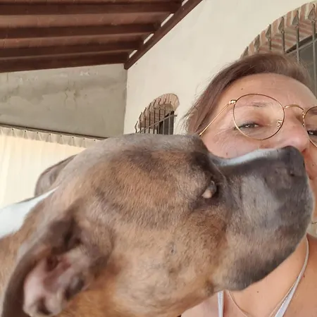 La Taverna Mesola
