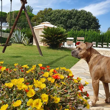 La Taverna Διαμέρισμα