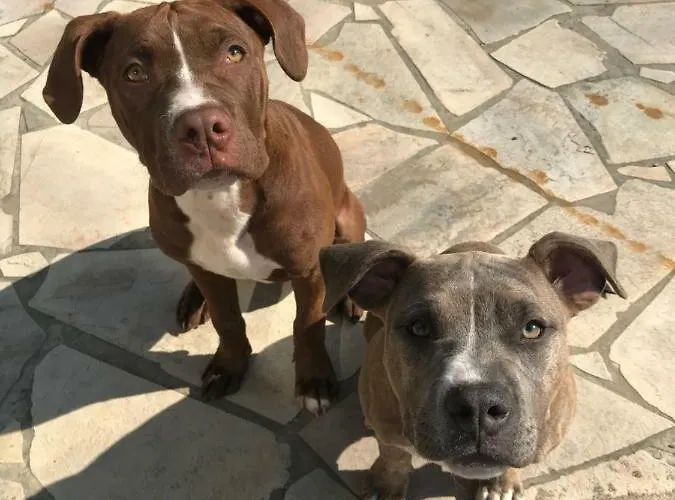 Διαμέρισμα La Taverna